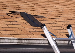 ? Finding the Best Roofing Contractor: My Own Roof Mistake in Essex County